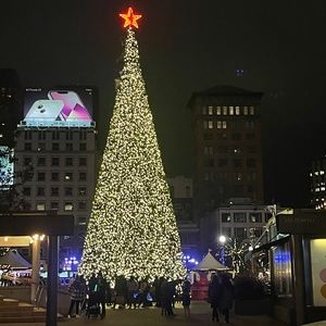 Meet your Posher, Priscilla